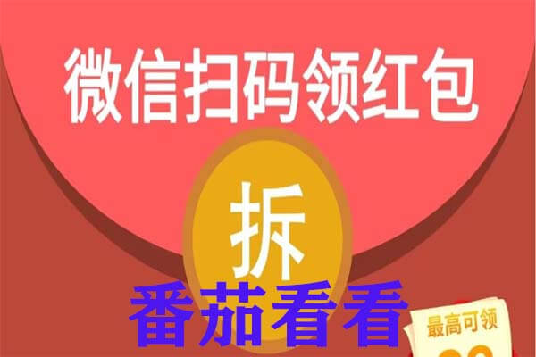 微信阅读文章挣钱项目，番茄看看最新链接入口-刚需网