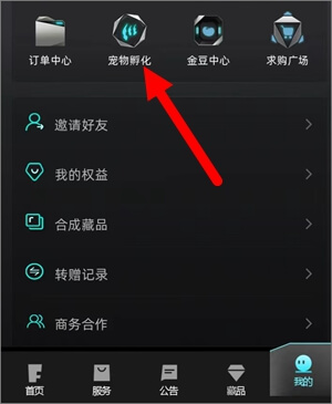 图片[2]-非梵艺术：卖宠物赚钱，今天到49元-刚需网